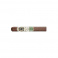 Perdomo Factory Tour Blend Sun Grown Robusto (24)