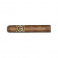 Quorum Classic Robusto (10)