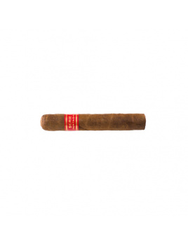 Partagas Serie D No.4 (10)