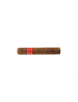 Partagas Serie D No.4 (10)