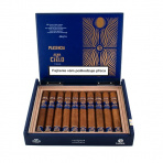 Plasencia Alma del Cielo Boreal (10)