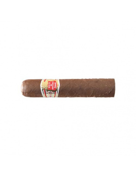 Hoyo de Monterrey Petit Robusto SLB (25)