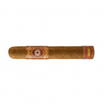 Perdomo Bourbon Barrel Aged Gordo Sun Grown (24)