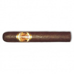 La Aurora 107 Toro (30)