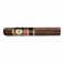 Perdomo Double Aged 12 Years Vintage Epicure Sun Grown (24)