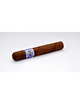 Domenico Robusto Medium (24)