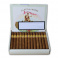 Rey del Mundo Demi Tasse (25)