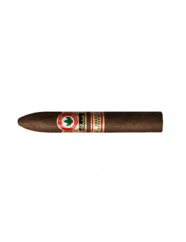 Joya de Nicaragua Antaňo Gran Reserva Belicoso (20)