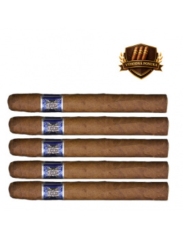 Domenico Churchill Medium (5)