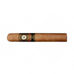 Perdomo 20th Anniversary Epicure Sun Grown (24)