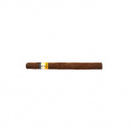 Cohiba Panatelas C/P 5´s (5)