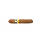 Cohiba Robusto C/P 3´s (1)