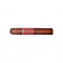 Don Duarte Classico Golden Robusto (24)
