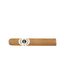 Ashton Magnum Robusto (25)