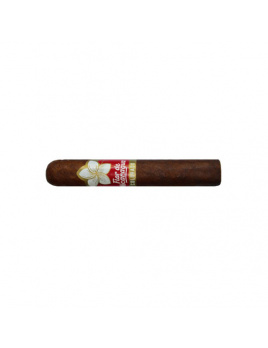 Flor de Nicaragua Colorado Robusto (20)