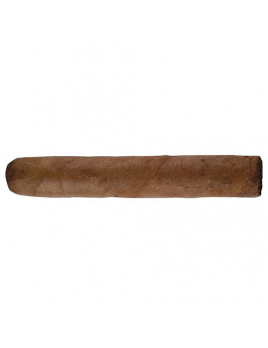 Cusano Bundle Selection Robusto (16)