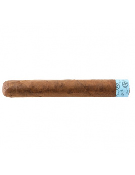 Rocky Patel Edge Nicaragua Toro (20)