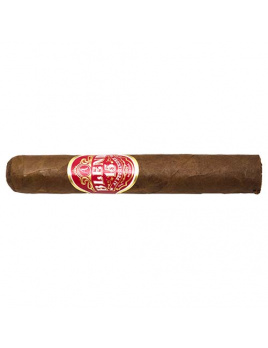 Blend 15 Robusto (15)