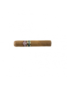 Montecristo OPEN Master (20)