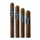 Joya Black Double Robusto (20)