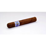 Domenico Robusto Medium (24)