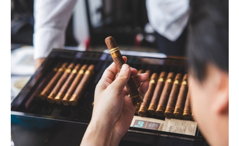 Oliva Mareva vs Rocky Patel Mareva