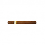 Cohiba Siglo III C/P (1)