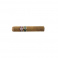 Montecristo OPEN Master (20)