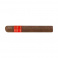 Condega Robusto (25)