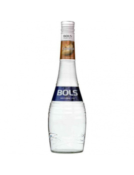 Bols Coconut 17 % 0,7 l