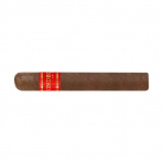 Condega Robusto (25)