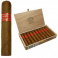 Partagas Serie D No.5 (10)