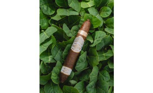 Plasencia Reserva Original – návrat k čistote tabaku