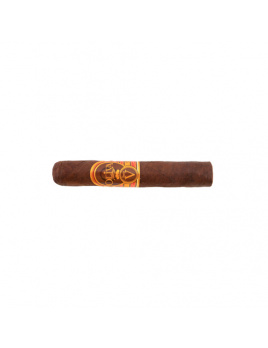 Oliva Serie V Double Robusto (24)