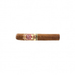 Santa Clara Capa Flor Robusto Connecticut (20)