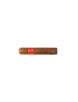 Partagas Serie D No.5 (10)