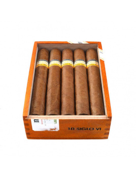 Cohiba Siglo VI (25)