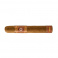 Perdomo Bourbon Barrel Aged Gordo Sun Grown (24)