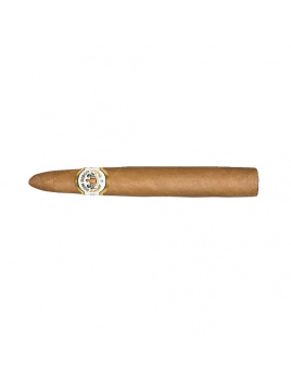 Don Diego Torpedo (10)