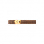 Oliva Serie G DBL Robusto (25)