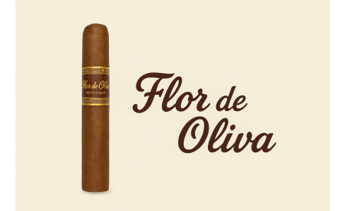 Flor de Oliva Robusto – kvalitný zážitok bez zbytočných výdavkov