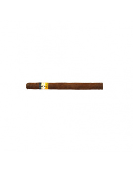 Cohiba Panatelas C/P 5´s (5)