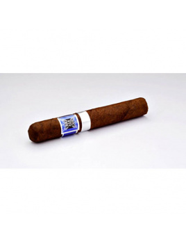 Domenico Robusto Strong (24)