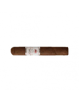 Joya Silver Robusto (20)