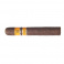Rocky Patel Vintage 2006 San Andreas Robusto (20)