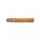 Montecristo No.5 (25)