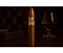 COHIBA PIRAMIDES EXTRA