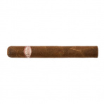 Rafael Gonzales Petit Coronas (25)
