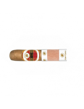 Flor de Copan Short Robusto (20)