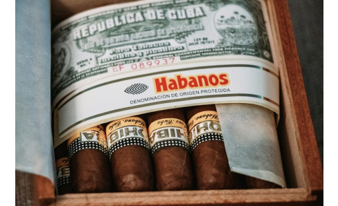 Cohiba ROBUSTO – Legendárna cigara, ktorá si získala svet